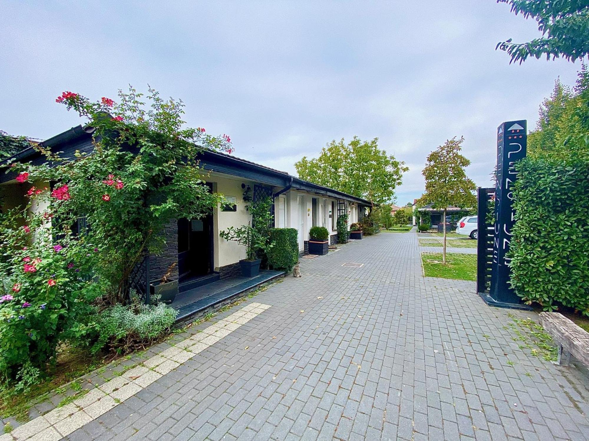 Pensiunea Damir Arad Exterior foto